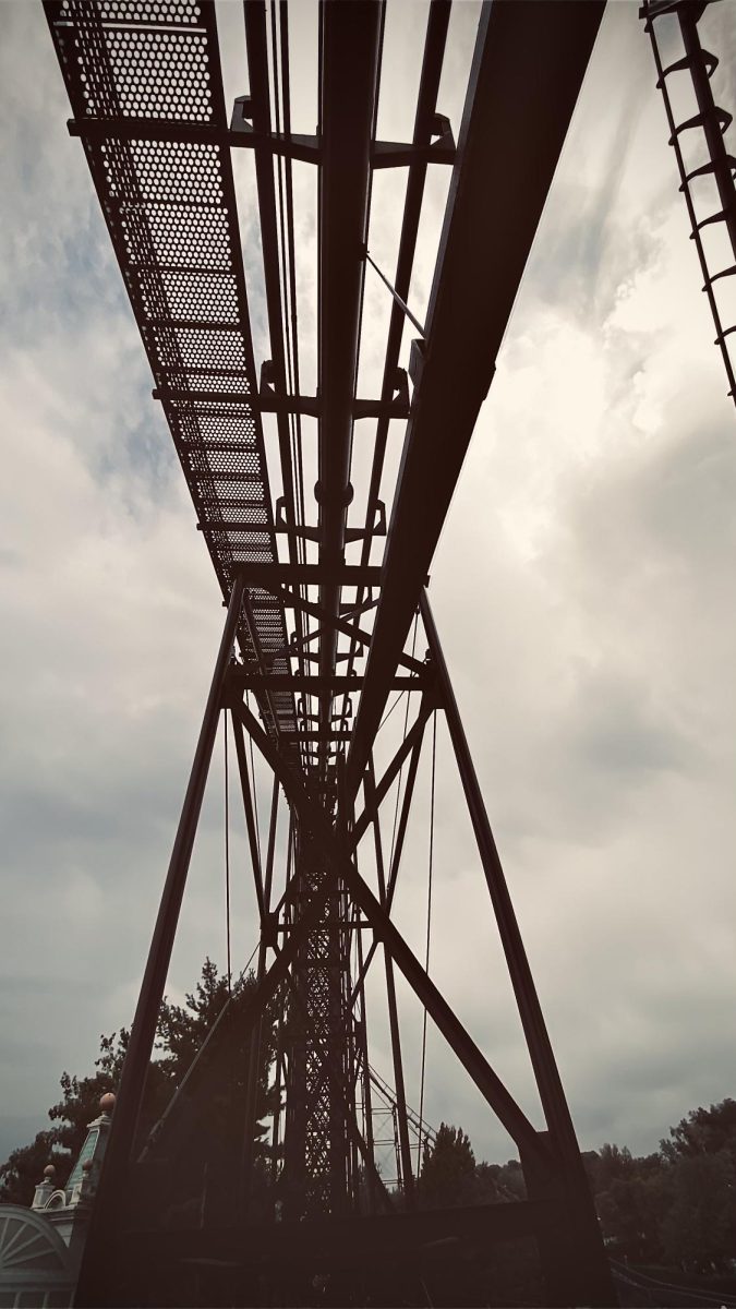 This image of the roller coaster, Phantom's Revenge, was taken and edited to give the viewer the impression that this was taken by an old fashioned camera during the early 1990s. The original Steel Phantom was built in that decade and the photographer wanted to capture that time period in which it was built in, so she edited it accordingly.