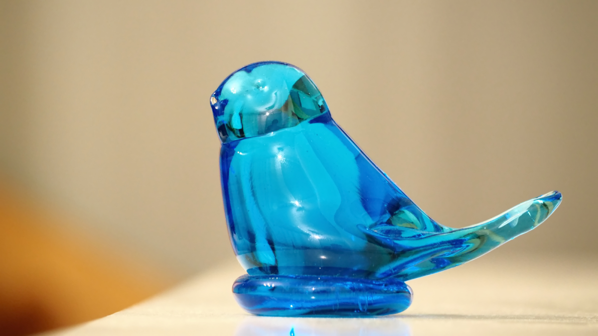 Chipped Beak