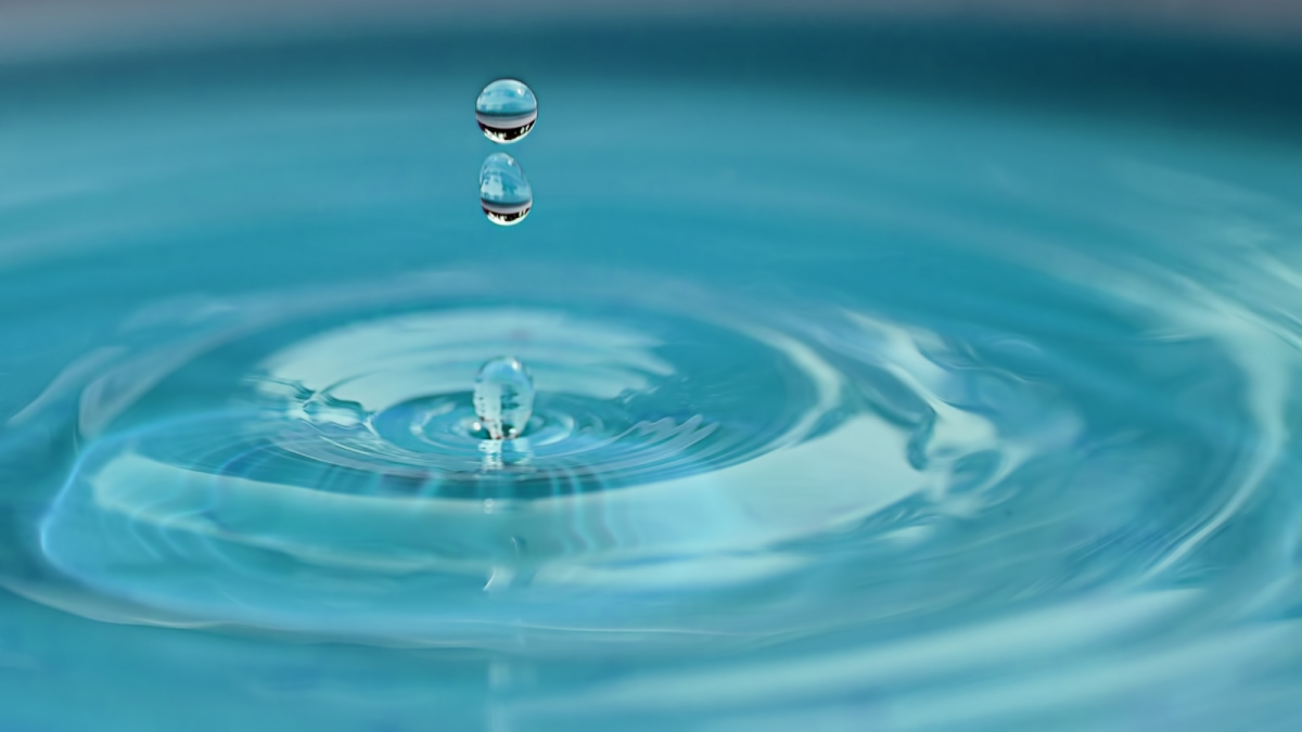 Fluid